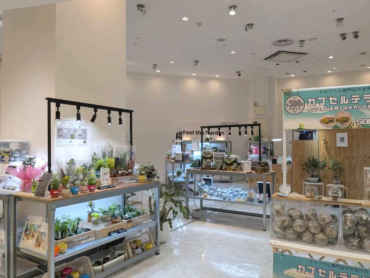 尼崎キューズモールにオープン！苔テラリウム専門店『Feel The Garden』で癒しの体験