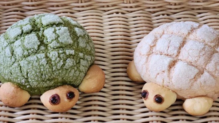 東灘区御影に登場！ケルン御影本店のかわいい『かめパン』期間限定