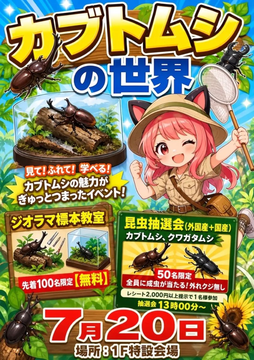 【尼崎市】見て、触れて、学べる！「カブトムシの世界」がアマドゥにやってくる！
