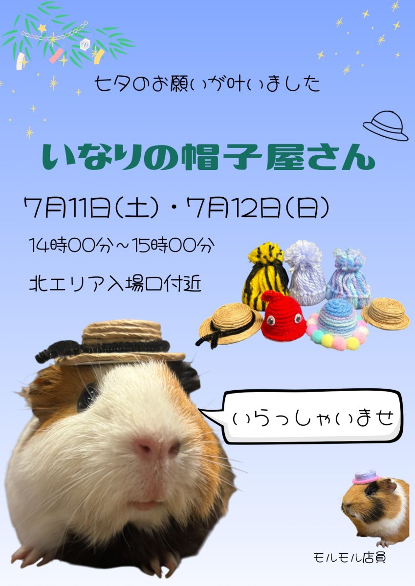 添付画像1