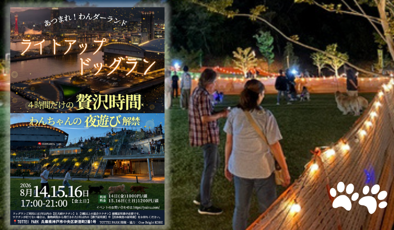 【神戸・新港町】愛犬と夜遊び！TOTTEI PARKで「ライトアップドッグラン」が3日間限定開催！花火やグルメも