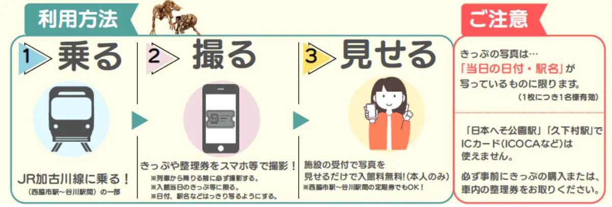 【丹波市】JR加古川線に乗って恐竜に会いに行こう！「たんば恐竜博物館」で入館無料キャンペーンが開催中（画像2）