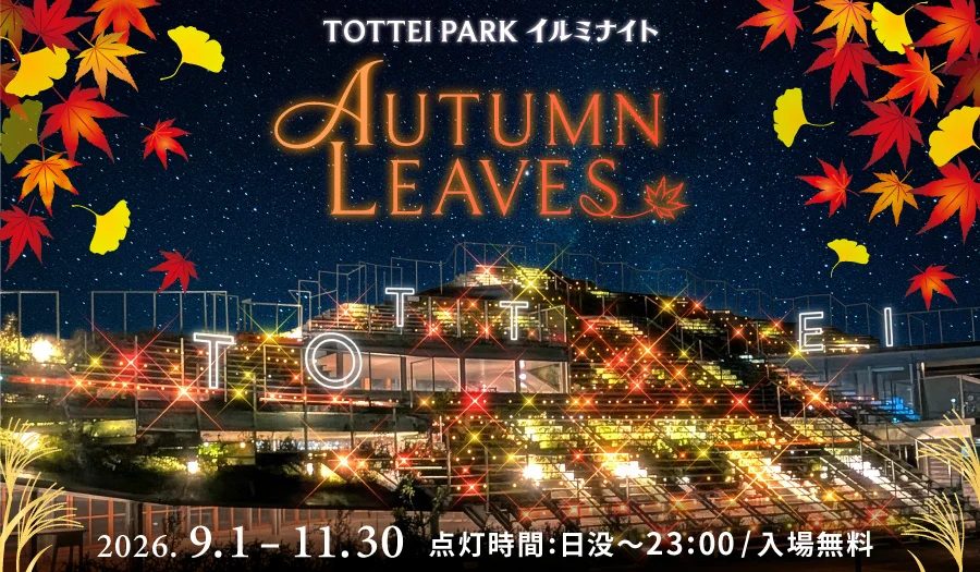 神戸港の秋夜を彩る光の絶景！TOTTEI PARKで「TOTTEI PARKイルミナイト - AUTUMN LEAVES -」開催