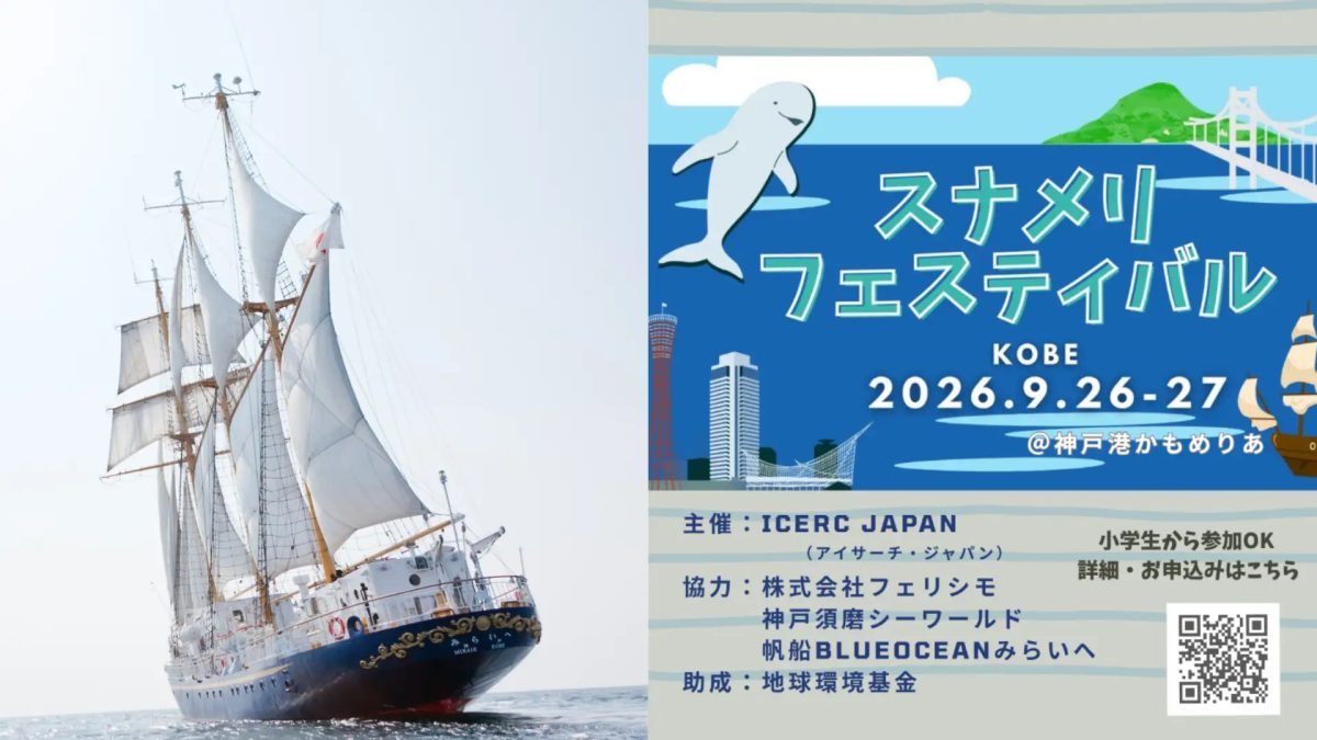 【神戸港発着】帆船「みらいへ」で野生のスナメリを探す観察航海が9月27日開催！