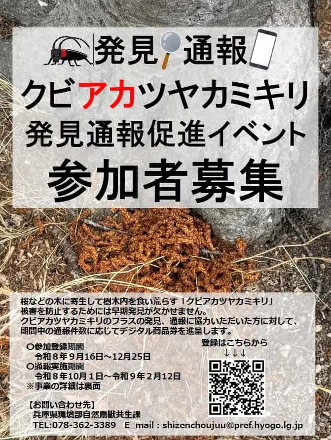 兵庫県の桜を守ろう！外来種「クビアツヤカミキリ」発見通報促進イベント開催 デジタル商品券が進呈されるチャンスも