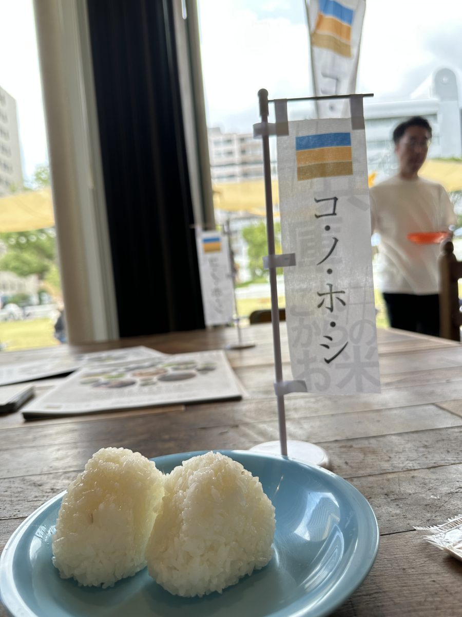神戸・東遊園地で兵庫県生まれの新品種米「コノホシ」のおにぎり配布中！甘み広がる美味しさをレポート